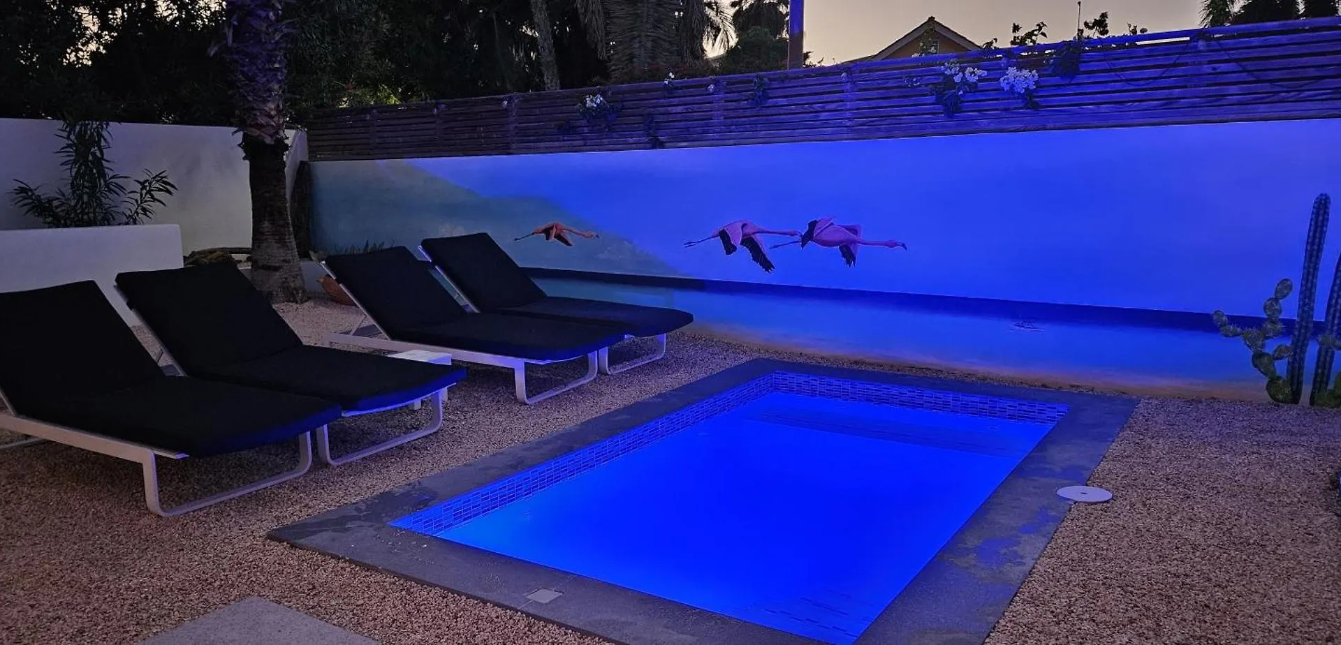 Mileo Appartement Jan Thiel Curacao Curacao